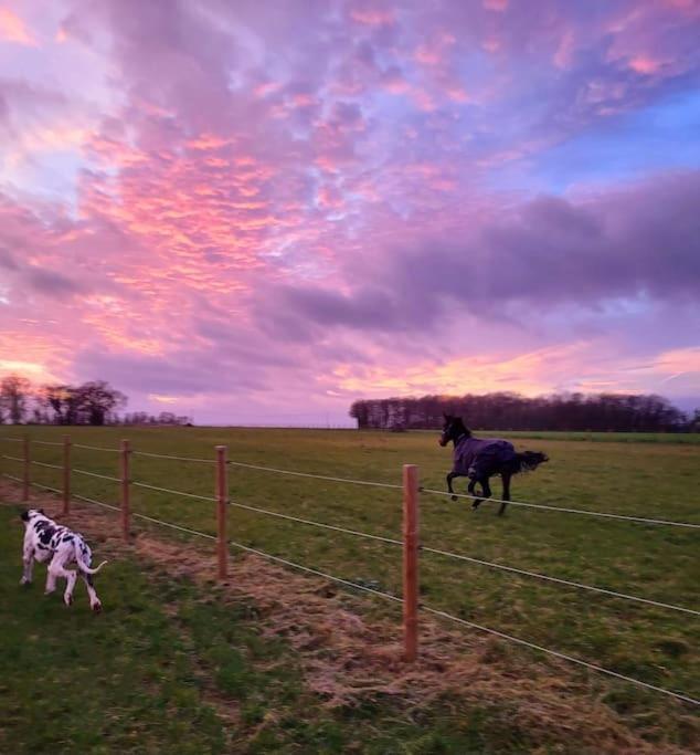 Gite Au Haras D'Agathe Et Ses Princes Les Barils Exterior photo
