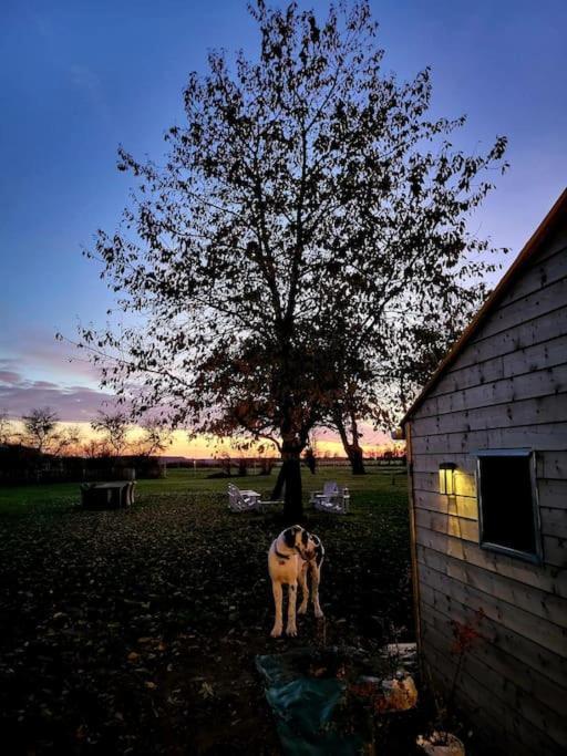 Gite Au Haras D'Agathe Et Ses Princes Les Barils Exterior photo