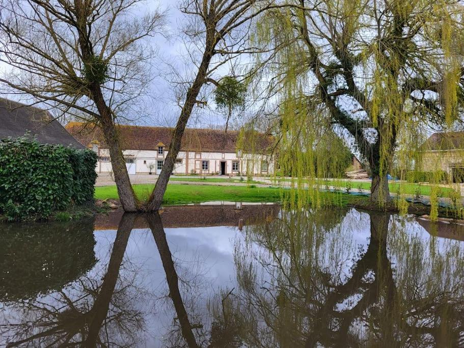 Gite Au Haras D'Agathe Et Ses Princes Les Barils Exterior photo